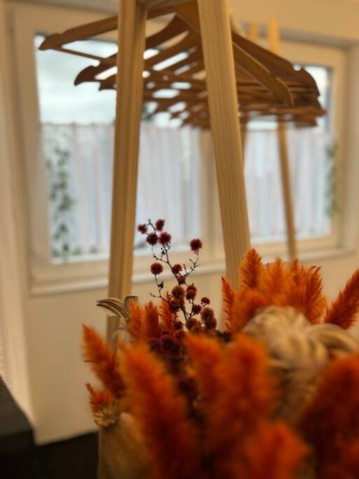 Boho Apartment Mit Aussicht Auf Gartenoase Naehe Duesseldorf Krefeld Dış mekan fotoğraf